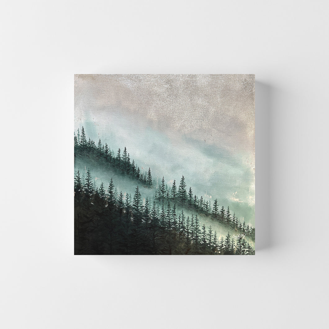 Mini Misty Forest 4 | 12